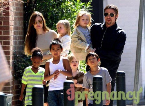 Семейство Джоли-Питт в полном составе